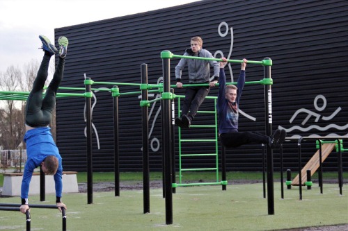 Calisthenics
