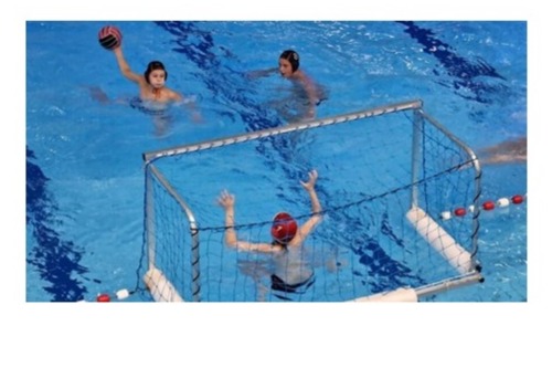 Waterpolo ZPV de Grunte
