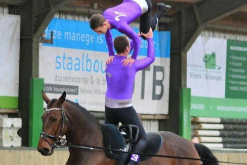 turnen op paard