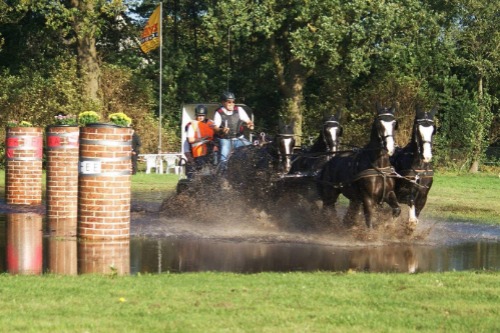 paard en wagen