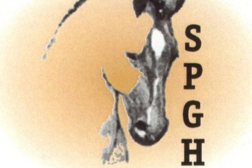 SPGH